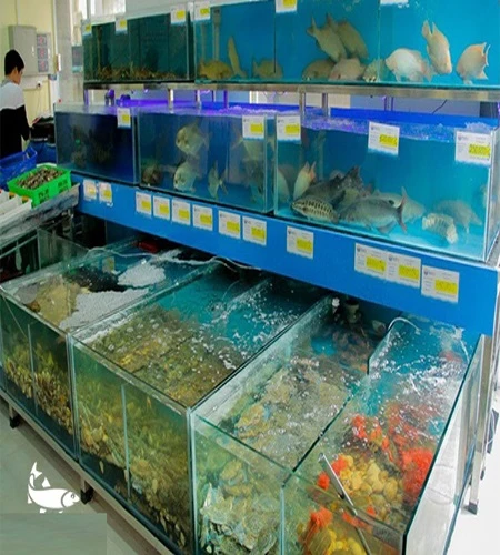 Bể cá nhà hàng- bể cá hải sản