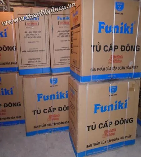 Thanh lý tủ đông Funiki FCF-269S2D