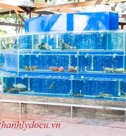 Bể cá hải sản nhà hàng