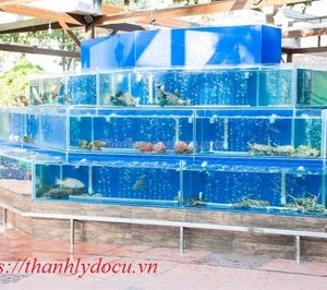 Bể cá hải sản nhà hàng