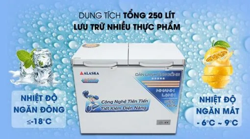 Thanh lý tủ đông mát BCD-3068C Alaska 250 lít – ảnh 3