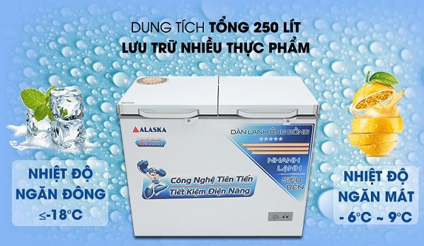 Tủ đông Alaska 250 lít BDC 306C