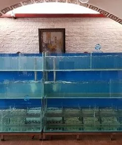 Bể hải sản 3 tần chồng kính