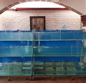 Bể hải sản 3 tần chồng kính
