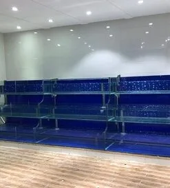 Thiết kế bể hải sản 3 tầng