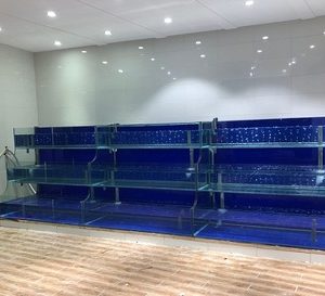 Thiết kế bể hải sản 3 tầng
