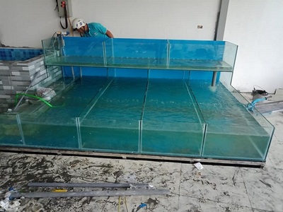 Bể hải sản 2 tầng chồng kính