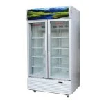 Thanh lý tủ mát Sanaky mới 100%