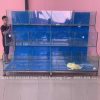 Mẫu bể hải sản nhà hàng 3 tầng