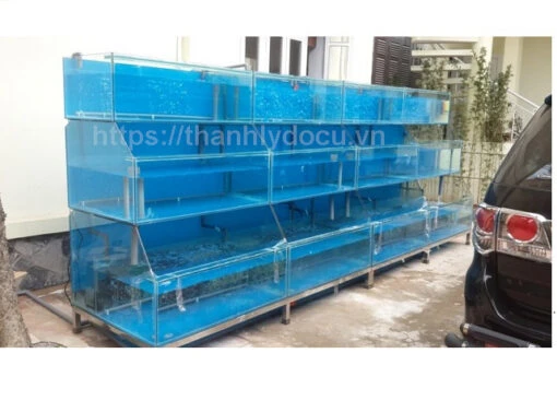 Bể hải sản 3 tầng – ảnh 2
