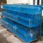 Bể hải sản 3 tầng chống kính