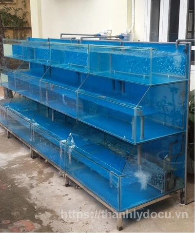 Bể hải sản 3 tầng chống kính