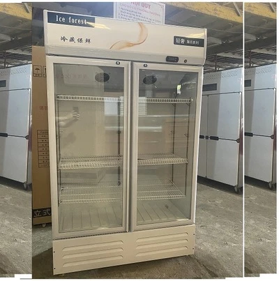 Tủ mát 2 cánh loại thường