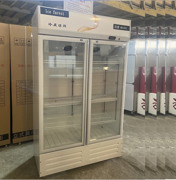 tủ mát 2 cánh mới