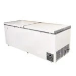 Tủ đông 1 ngăn 2 cánh mở 558