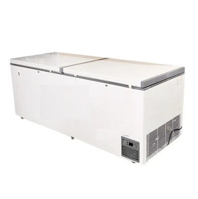 Tủ đông 1 ngăn 2 cánh mở 558