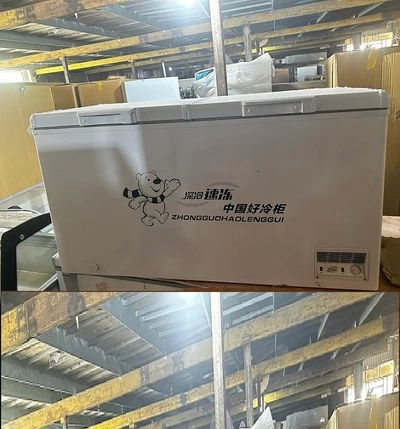 Tủ đông ngang 2 ngăn 498 lít