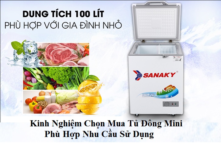 Kinh Nghiệm Chọn Mua Tủ Đông Mini Phù Hợp Nhu Cầu Sử Dụng