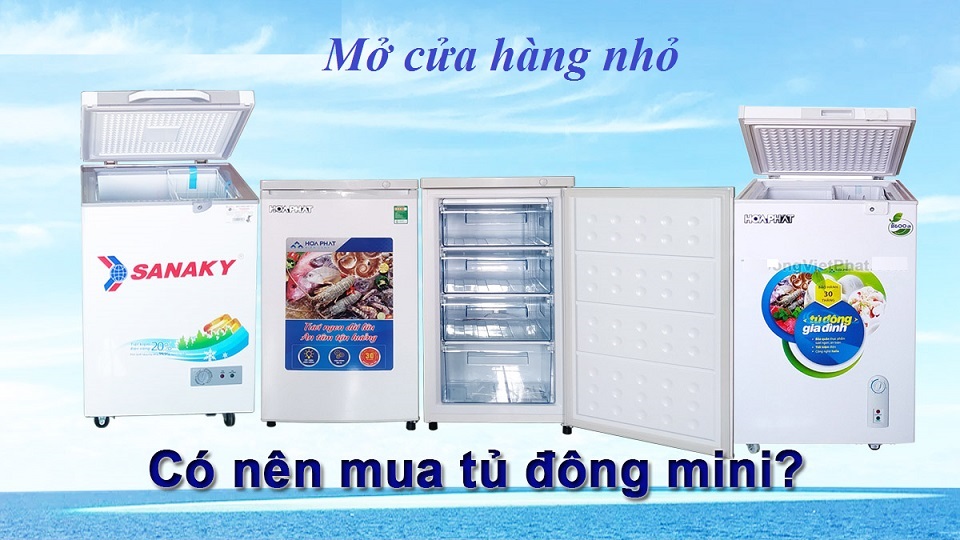Mở cửa hàng nhỏ có nên dùng tủ đông mini không?