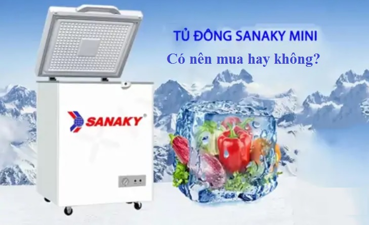 Có nên mua tủ đông mini hay không? Ưu nhược điểm của tủ đông mini bạn cần biết