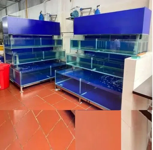 Bể cá nhà hàng 4 tầng chồng kính