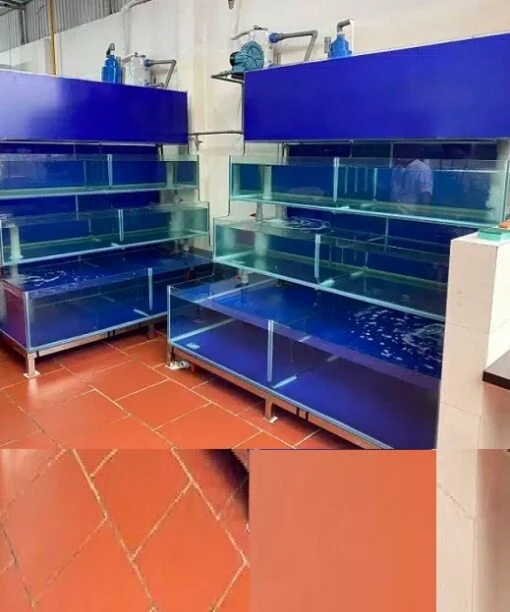 Bể cá nhà hàng 4 tầng chồng kính