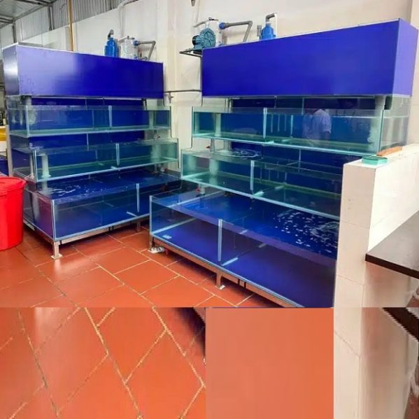 Bể cá nhà hàng 4 tầng chồng kính