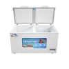 Tủ đông THFansipan THTDN-2C500