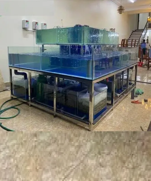 Bể hải sản 3 tầng chồng kính