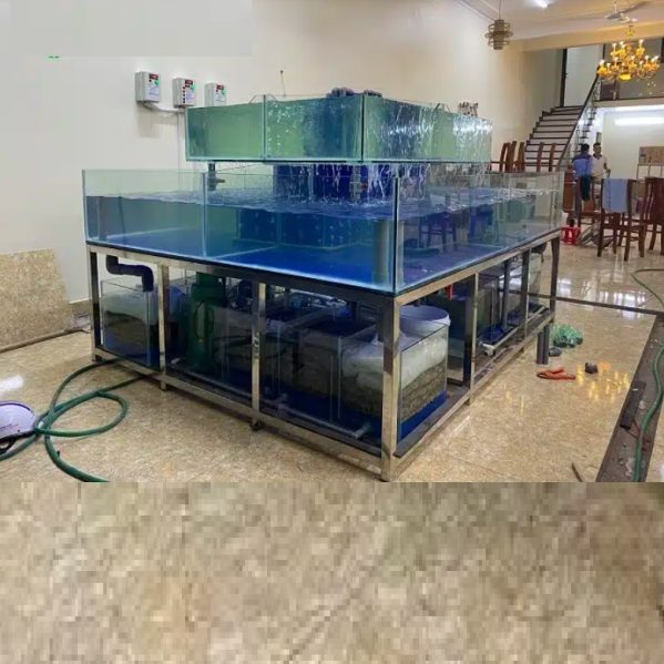 Bể hải sản 3 tầng chồng kính