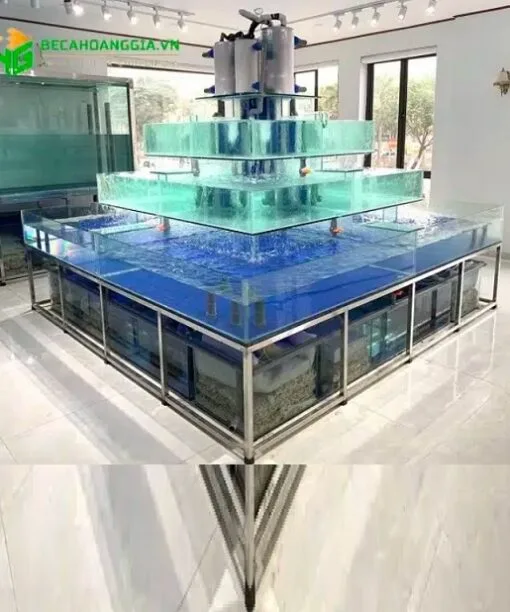 Bể hải sản 4 tầng chồng kính